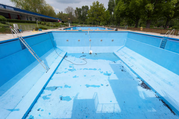 Best Carpet water damage restoration  in Indian Rocks Beach, FL