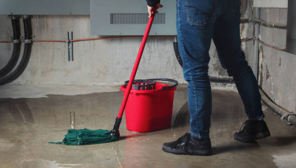 Water damage restoration process in Indian Rocks Beach, FL
