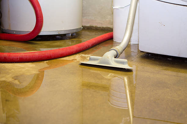 Best Local water damage restoration  in Indian Rocks Beach, FL
