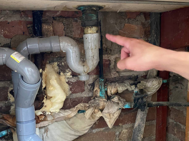 Best Residential water damage restoration  in Indian Rocks Beach, FL