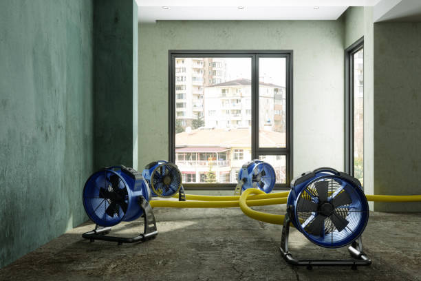 Best Sewage cleanup and water damage restoration  in Indian Rocks Beach, FL